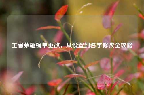 王者荣耀榜单更改，从设置到名字修改全攻略
