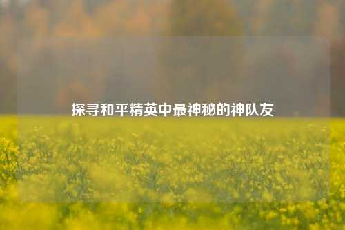 探寻和平精英中最神秘的神队友