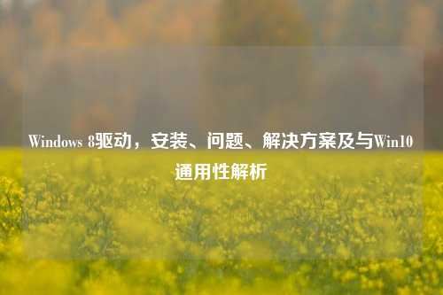 Windows 8驱动，安装、问题、解决方案及与Win10通用性解析