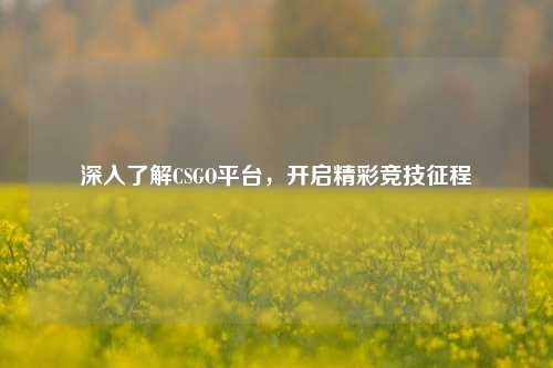 深入了解CSGO平台，开启精彩竞技征程