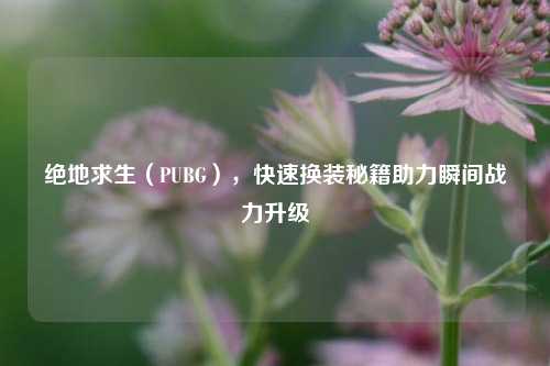 绝地求生（PUBG），快速换装秘籍助力瞬间战力升级