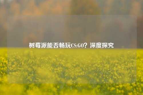 树莓派能否畅玩CS:GO？深度探究