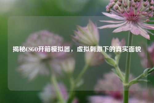 揭秘CSGO开箱模拟器，虚拟刺激下的真实面貌