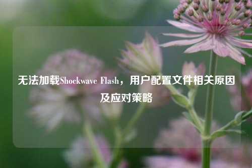 无法加载Shockwave Flash，用户配置文件相关原因及应对策略