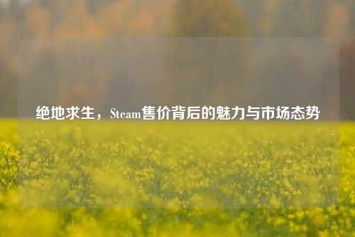 绝地求生，Steam售价背后的魅力与市场态势