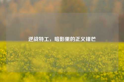 逆战特工，暗影里的正义锋芒