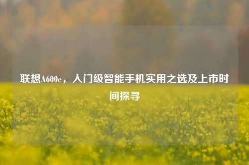 联想A600e，入门级智能手机实用之选及上市时间探寻