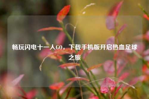 畅玩闪电十一人GO，下载手机版开启热血足球之旅