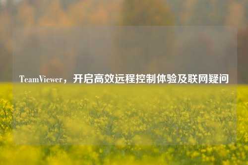 TeamViewer，开启高效远程控制体验及联网疑问