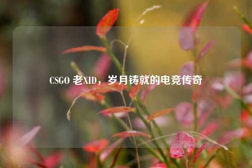 CSGO 老XID，岁月铸就的电竞传奇