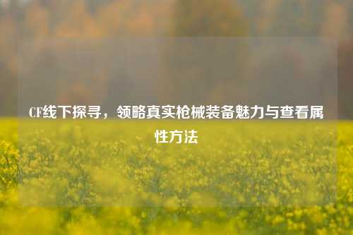 CF线下探寻，领略真实枪械装备魅力与查看属性方法