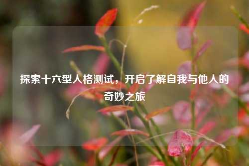 探索十六型人格测试，开启了解自我与他人的奇妙之旅
