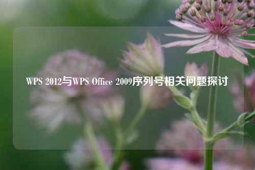 WPS 2012与WPS Office 2009序列号相关问题探讨