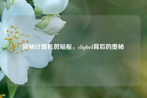 揭秘计算机剪贴板，clipbrd背后的奥秘