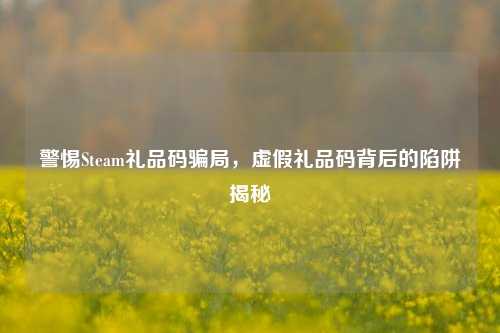 警惕Steam礼品码骗局，虚假礼品码背后的陷阱揭秘