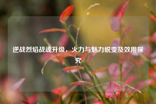 逆战烈焰战魂升级，火力与魅力蜕变及效用探究