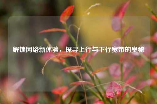 解锁网络新体验，探寻上行与下行宽带的奥秘