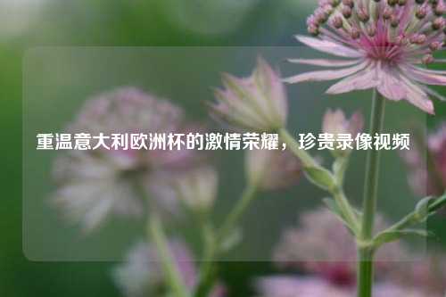重温意大利欧洲杯的激情荣耀，珍贵录像视频