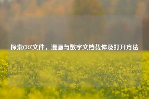 探索CBZ文件，漫画与数字文档载体及打开方法