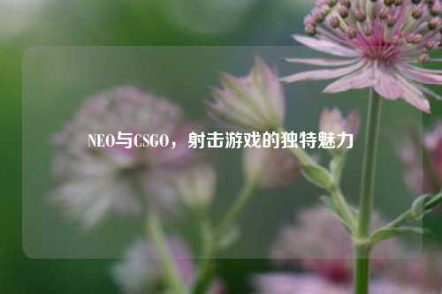 NEO与CSGO，射击游戏的独特魅力