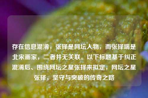存在信息混淆，张择是网坛人物，而张择端是北宋画家，二者并无关联。以下标题基于纠正混淆后、围绕网坛之星张择来拟定，网坛之星张择，坚守与突破的传奇之路