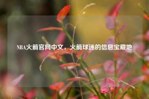 NBA火箭官网中文，火箭球迷的信息宝藏地