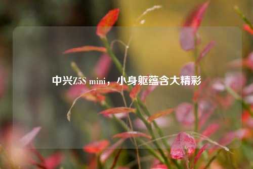 中兴Z5S mini，小身躯蕴含大精彩