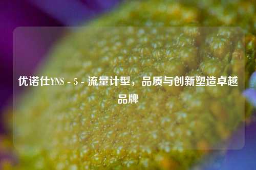 优诺仕YNS - 5 - 流量计型，品质与创新塑造卓越品牌