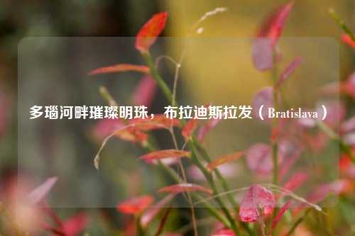 多瑙河畔璀璨明珠，布拉迪斯拉发（Bratislava）