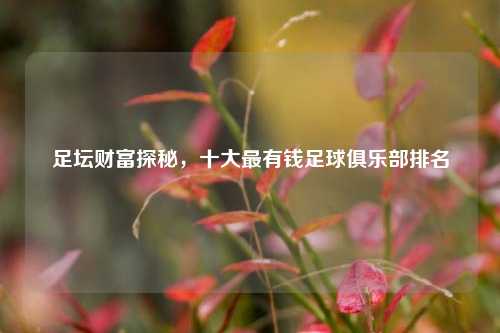 足坛财富探秘，十大最有钱足球俱乐部排名