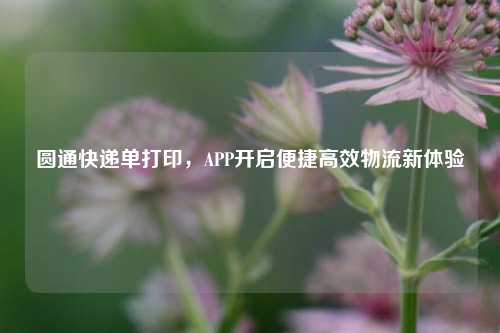 圆通快递单打印，APP开启便捷高效物流新体验