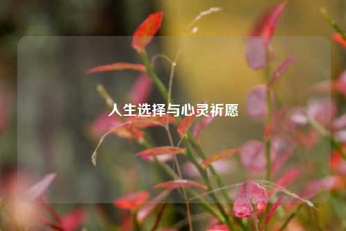 人生选择与心灵祈愿