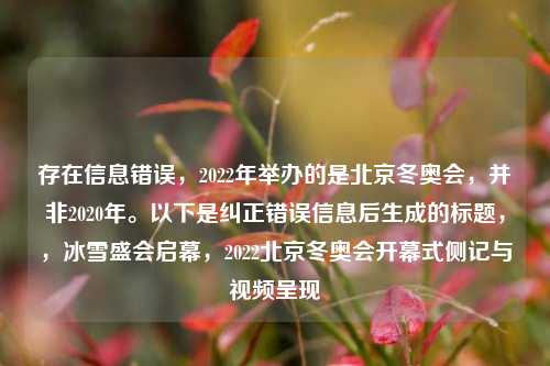 存在信息错误，2022年举办的是北京冬奥会，并非2020年。以下是纠正错误信息后生成的标题，，冰雪盛会启幕，2022北京冬奥会开幕式侧记与视频呈现