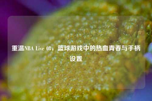 重温NBA Live 08，篮球游戏中的热血青春与手柄设置
