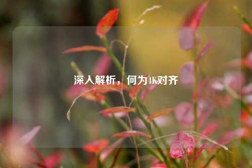 深入解析，何为4K对齐