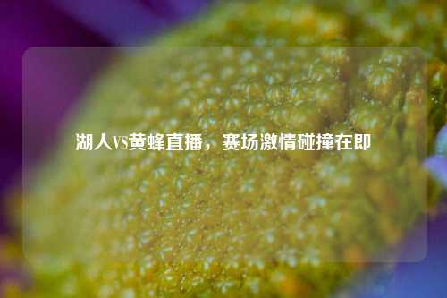 湖人VS黄蜂直播，赛场激情碰撞在即