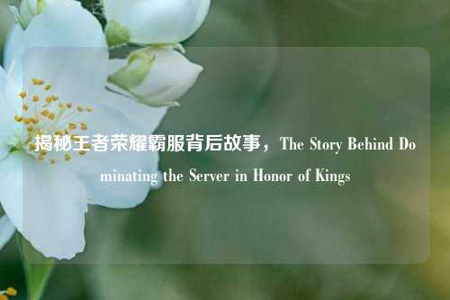揭秘王者荣耀霸服背后故事，The Story Behind Dominating the Server in Honor of Kings