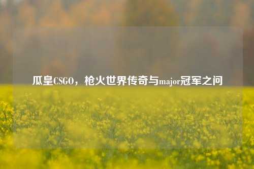 瓜皇CSGO，枪火世界传奇与major冠军之问