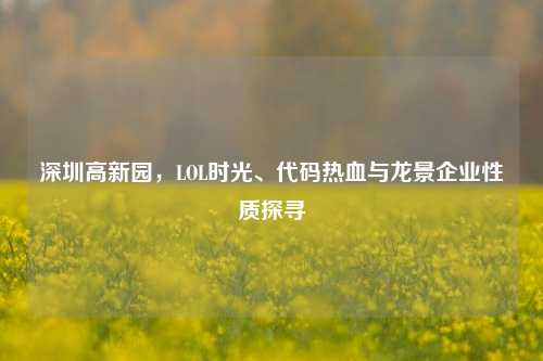 深圳高新园，LOL时光、代码热血与龙景企业性质探寻