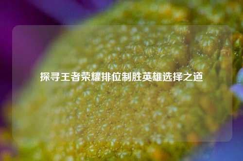 探寻王者荣耀排位制胜英雄选择之道