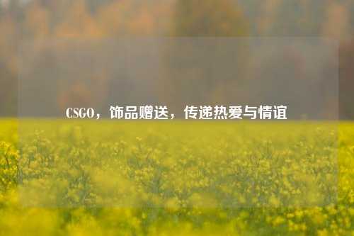 CSGO，饰品赠送，传递热爱与情谊