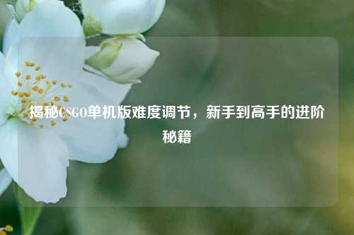 揭秘CSGO单机版难度调节，新手到高手的进阶秘籍