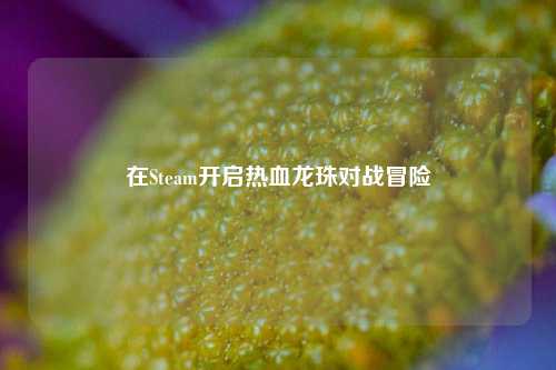 在Steam开启热血龙珠对战冒险