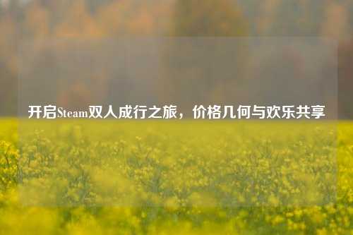开启Steam双人成行之旅,价格几何与欢乐共享