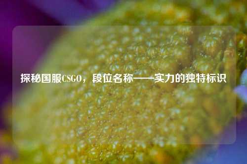 探秘国服CSGO,段位名称——实力的独特标识