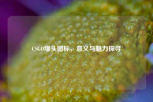CSGO爆头图标,意义与魅力探寻
