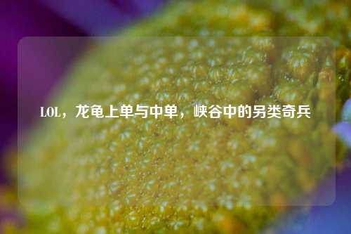 LOL,龙龟上单与中单,峡谷中的另类奇兵