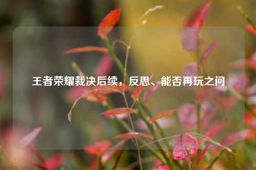 王者荣耀裁决后续,反思、能否再玩之问