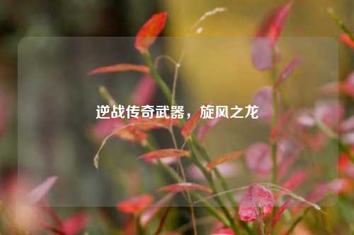 逆战传奇武器，旋风之龙