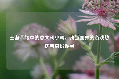 王者荣耀中的意大利小哥,跨越国界的游戏热忱与身份探寻